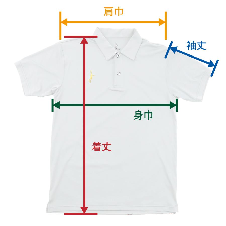 「ポイント５倍」 「1点限りネコポス対応」IN THE PAINT インザペイント ITP23336 ポロシャツ メンズ レディース バスケ 半袖｜athlete-gear｜07