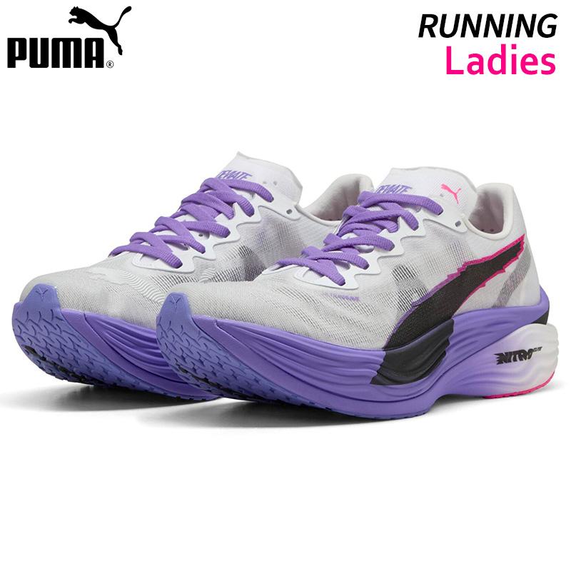 日本未発売 レア ブライトン タグ付 正規品 トレーニング PUMA プーマ puma ディヴィエイト ニトロ エリート 3 DT