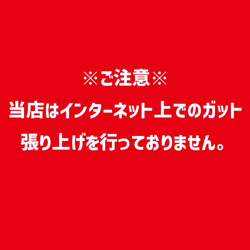 ウィルソン Wilson RF 01 FRM WR151411U2 硬式 テニス ラケット フレームのみの画像