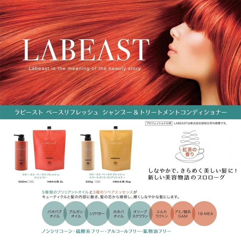 昭和化学　ラビースト ベースリフレッシュ シャンプー 550ml ×6点セット 昭和化学 ラビースト ベースリフレッシュ ノンシリコンシャンプー