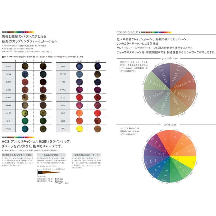 FIOLE(フィヨーレ) BLカラー GRグレイアッシュ 7色 120g : アット