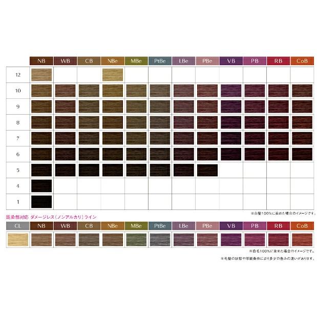 Shiseido 資生堂 プリミエンス エンリッチ ヘアカラー 第1剤 Vb Pb Rb Cob 医薬部外品 Spri En3 アットホームケア Yahoo 店 通販 Yahoo ショッピング