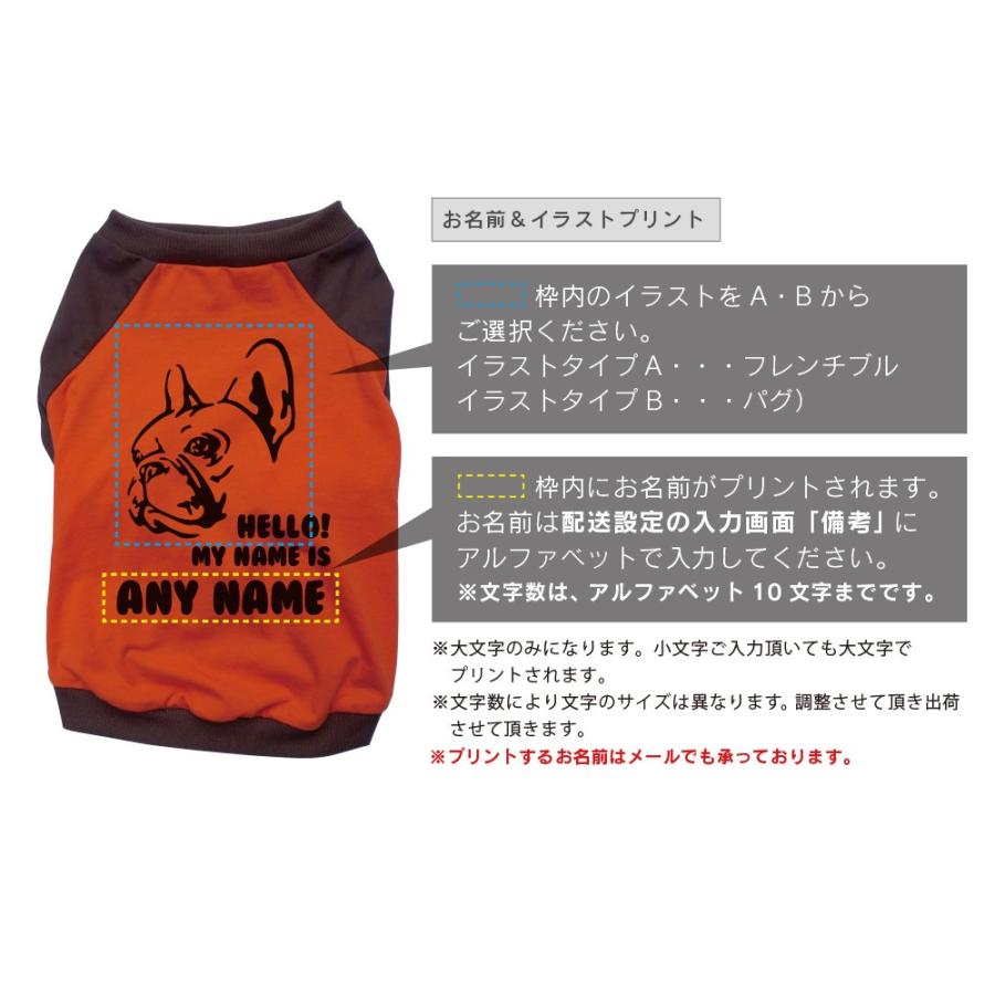 名入れ フェイス プリント ラグラン Tシャツ メール便 送料無料