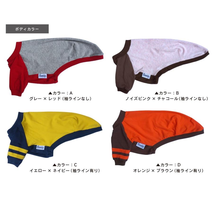 イタグレ 服 名入れ 背番号＆ネーム ラグランTシャツ イタリアングレイハウンド メール便 送料無料 |  | 05