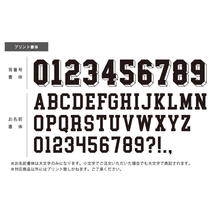 イタグレ 服 名入れ 背番号＆ネーム ラグランTシャツ イタリアングレイハウンド メール便 送料無料 |  | 07