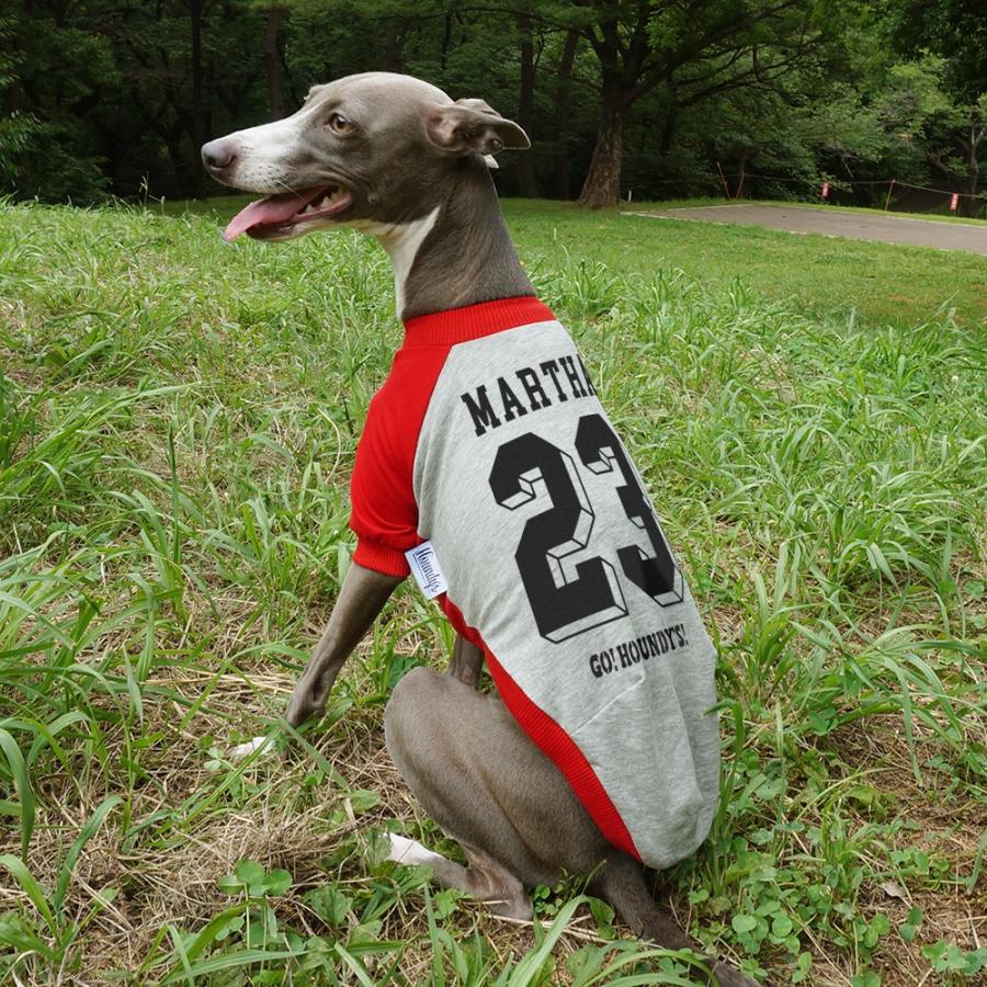 イタグレ 服 名入れ 背番号＆ネーム ラグランTシャツ イタリアン