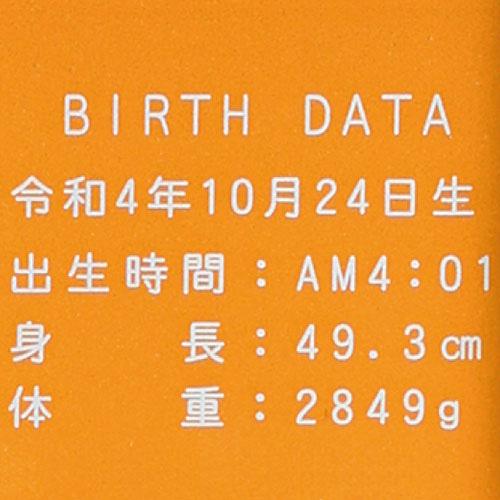 赤ちゃん筆　光文堂　髪の毛　ファーストヘア　出産祝い　胎毛筆　べべ　メモリー付 |  | 03