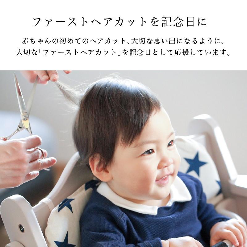 赤ちゃん筆 光文堂 髪の毛 ファーストヘア 出産祝い 胎毛筆 パステル Pa Athte 通販 Yahoo ショッピング