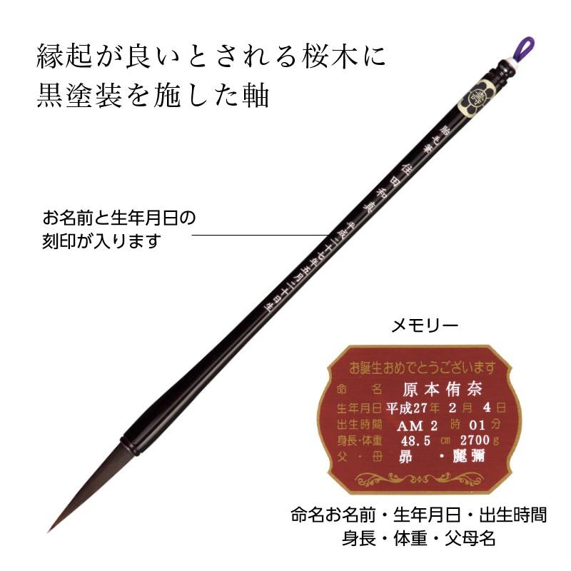 憧れの 赤ちゃん筆 光文堂 髪の毛 ファーストヘア 出産祝い 胎毛筆 桜 メモリー 房 Kogler At