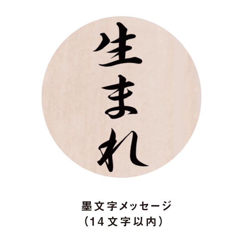 赤ちゃん筆　光文堂　髪の毛　くせ毛も残せる　ファーストヘア　出産祝い　胎毛筆　桜　墨文字メッセージ |  | 01