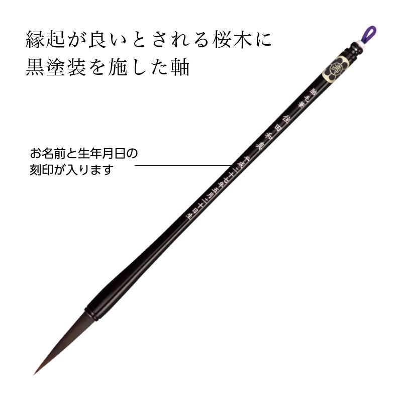 赤ちゃん筆　光文堂　髪の毛　くせ毛も残せる　ファーストヘア　出産祝い　胎毛筆　桜　墨文字メッセージ |  | 02