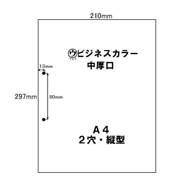 マルウ　ビジネスカラー　A4　薄口　2穴　30穴　500枚入り　全31色　色上質紙/印刷用紙/レーザー/コピー/インクジェット対応｜atiku-h｜06