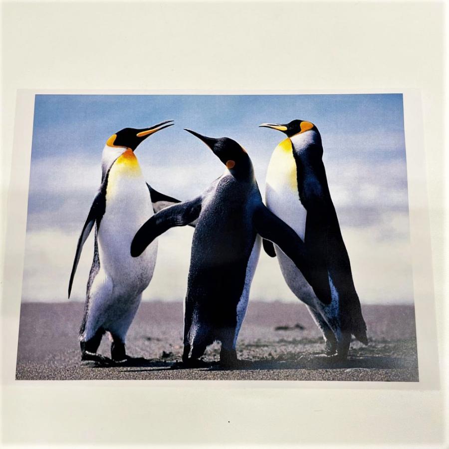 【新品未使用】アトラス　ベーシック グリーン ベトナム製 美品☆エドワードグリーン7E【スキンステッチ仕様☆ドーバーの