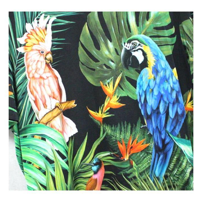 美品 ドルチェ＆ガッバーナ Dolce & Gabbana メンズ 鳥 リーフ T