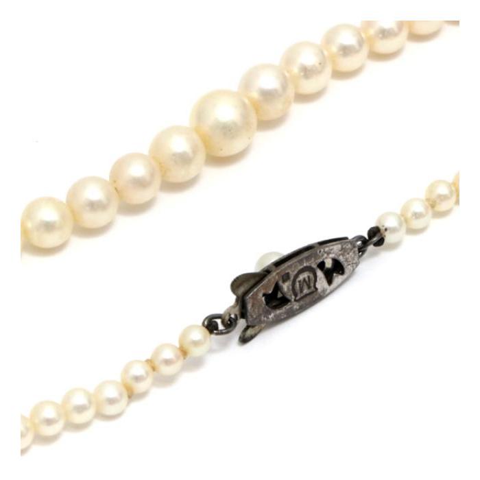 MIKIMOTO（ミキモト） 美品 パール ネックレス SV シルバー : atlantis 