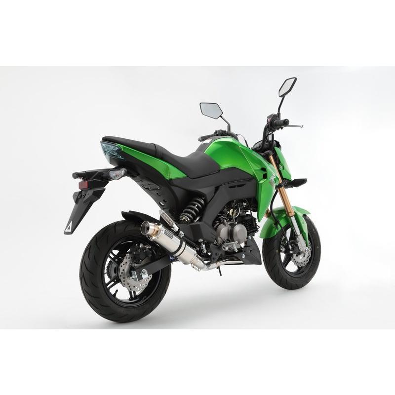 BEAMS（ビームス） BEAMS G424-53-008 Z125PRO 2BJ-BR125H R-EVO