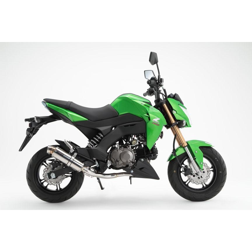 BEAMS（ビームス） BEAMS G424-53-008 Z125PRO 2BJ-BR125H R-EVO