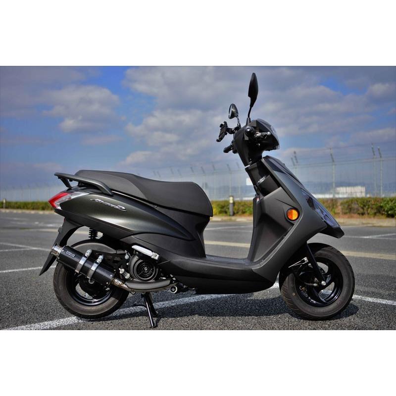 BEAMS（ビームス） BEAMS AXISZ G255-08-000 アクシスZ 17~ ボルト留め