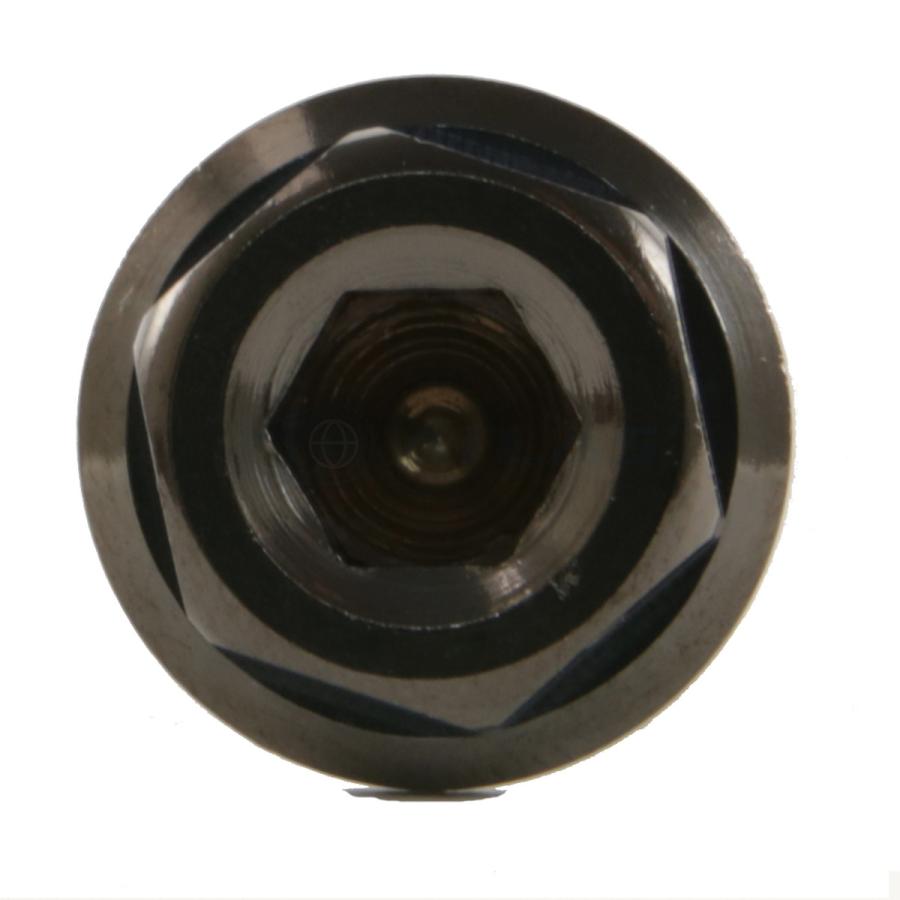 SUS PVDチタンコート YAMAHA ブレーキローター専用ボルト M8×25mm