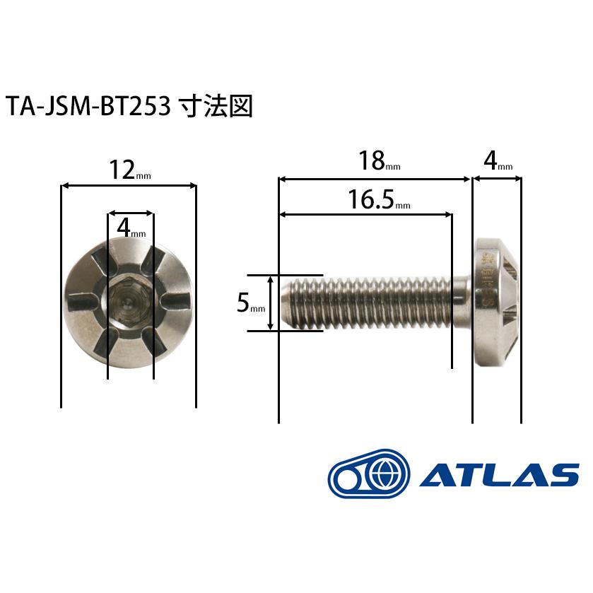 Star Bolt SUS スクリーン用ボルト M5×18mm P0.8mm 1本 TMAX