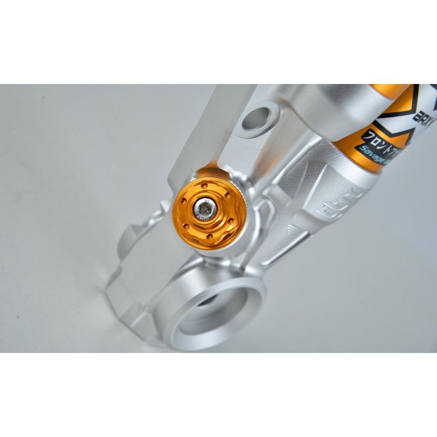 SavageBull ARX シグナスX CYGNUS X2〜5型フロントフォーク SavageBull ARX シグナスX CYGNUS X2〜5型フロントフォーク
