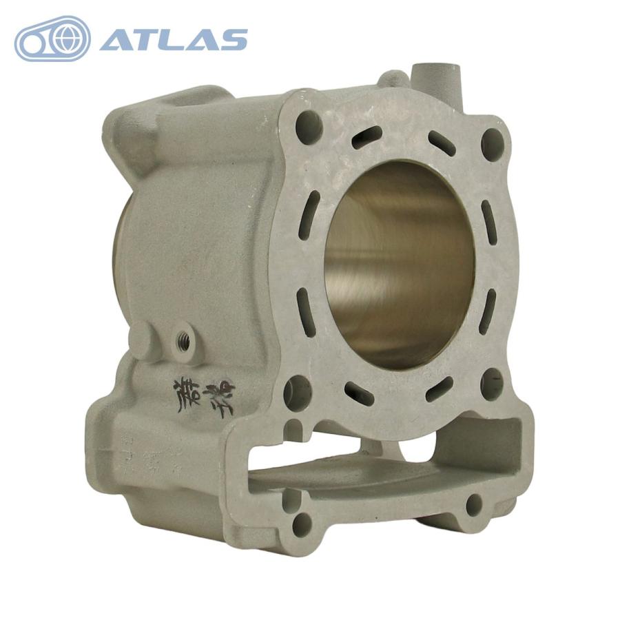 TTMRC 6型シグナス グリファス CYGNUS GRYPHUS 水冷BW'S X FORCE