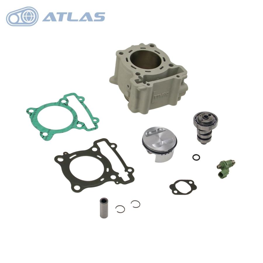 TTMRC 6型シグナス グリファス CYGNUS GRYPHUS 3型水冷BW'S X FORCE