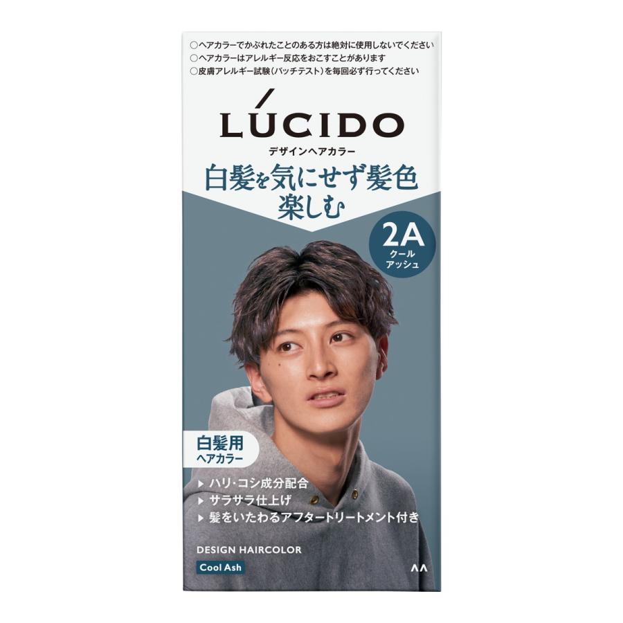 LUCIDO マンダム ルシード デザインヘアカラー 2A クール LUCIDO マンダム ルシード デザインヘアカラー 2A クール