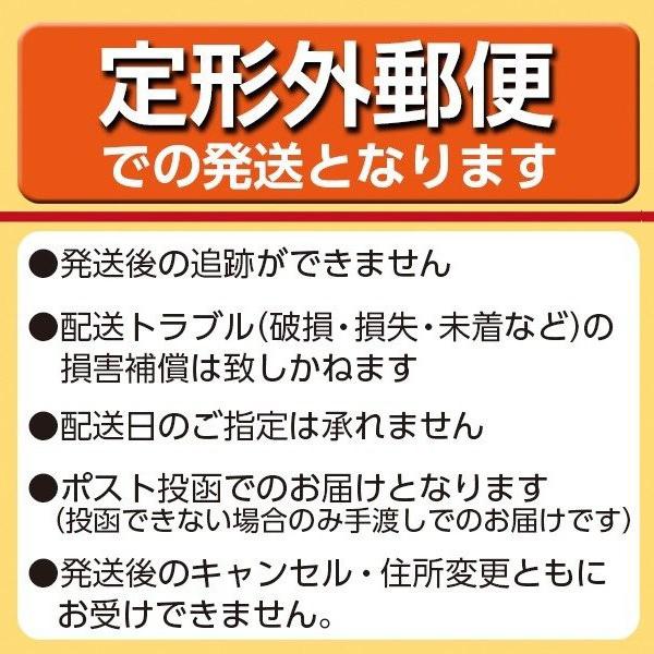 【定形外郵便】赤長 道具洗いブラシ ミニ オレンジ 1個｜atlife-shop｜02
