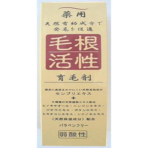 毛根活性育毛剤１５０ＭＬ（4964653102787）｜atlife