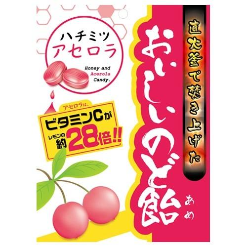 日進医療器 おいしいのど飴 ハチミツアセロラ 70g 103 日用品 生活雑貨の店 カットコ 通販 Yahoo ショッピング