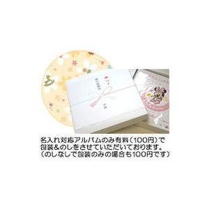 ディズニーベビー ミッキー ミニー ナカバヤシ アルバム 刺繍 名入れ 出産祝い プレゼント | ミッキー＆フレンズ | 05