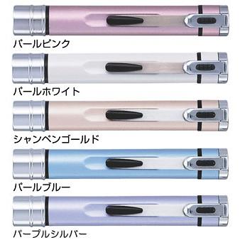 シャチハタ ネームエルツイン 浸透 訂正 印付き 男性 女性 プレゼント ビジネス