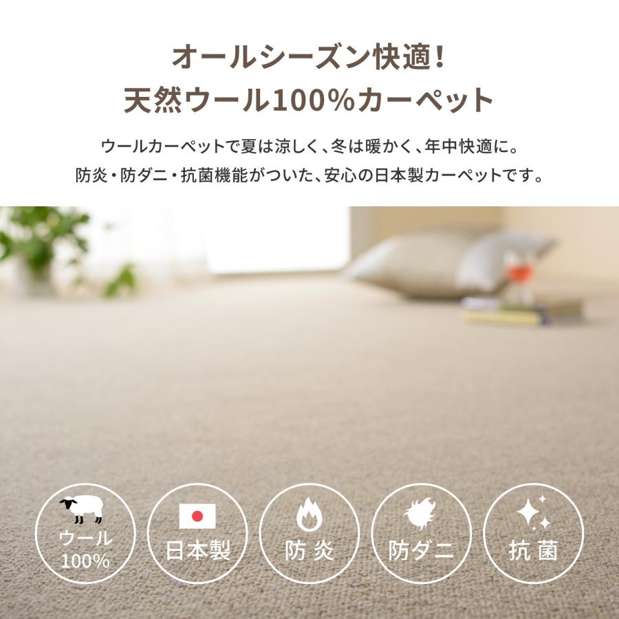 敷き詰めカーペット タフト 防炎 防ダニ 抗菌 日本製 「オペラ」グレー 江戸間6帖(吸湿性 音吸収 防音 ホットカーペット対応 床暖房対応) 