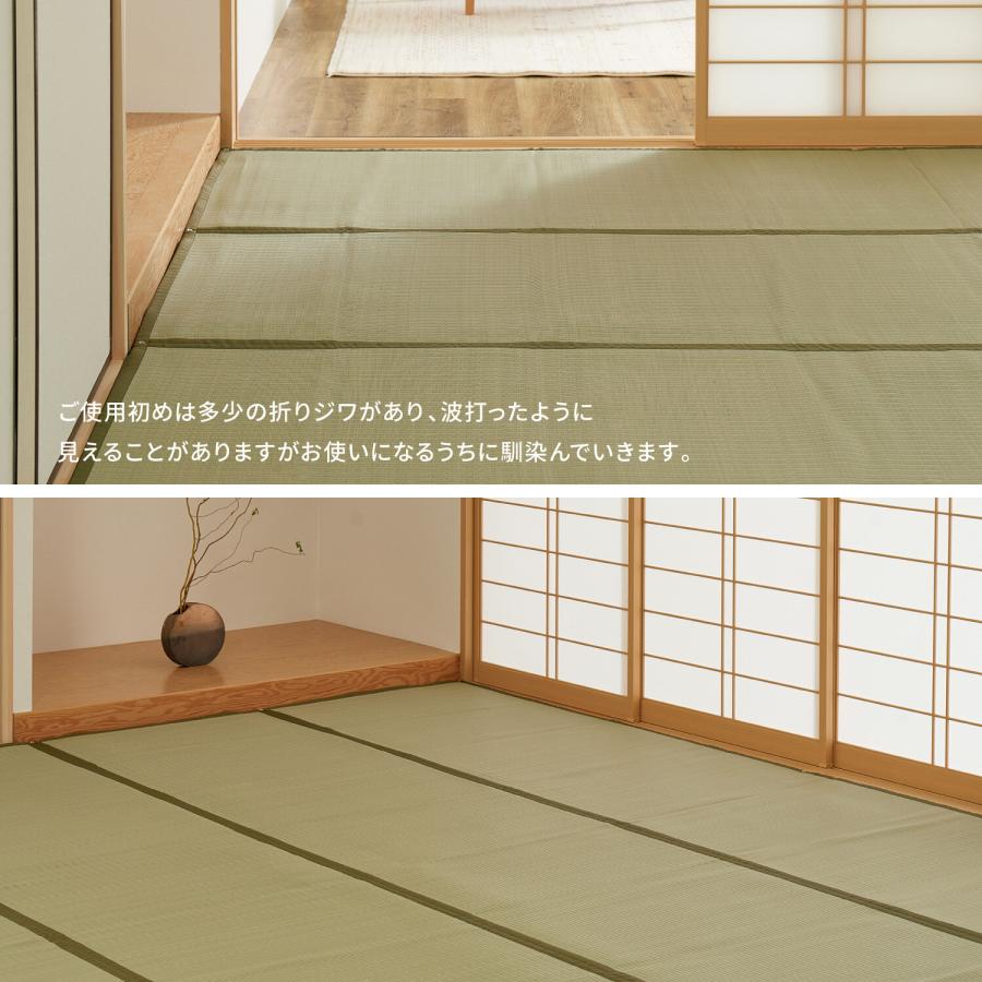 まるで本物のい草 】PP上敷き い草風花ござ 水洗いOK 「四条(し まるで本物のい草 】PP上敷き い草風花ござ 水洗いOK 「四条(し