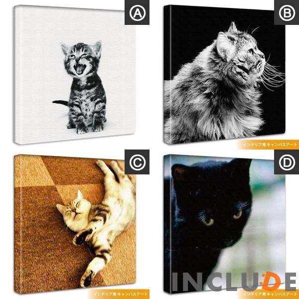アートパネル クリエーター 猫 ネコ 子猫 黒猫 ベンガル サイベリアン