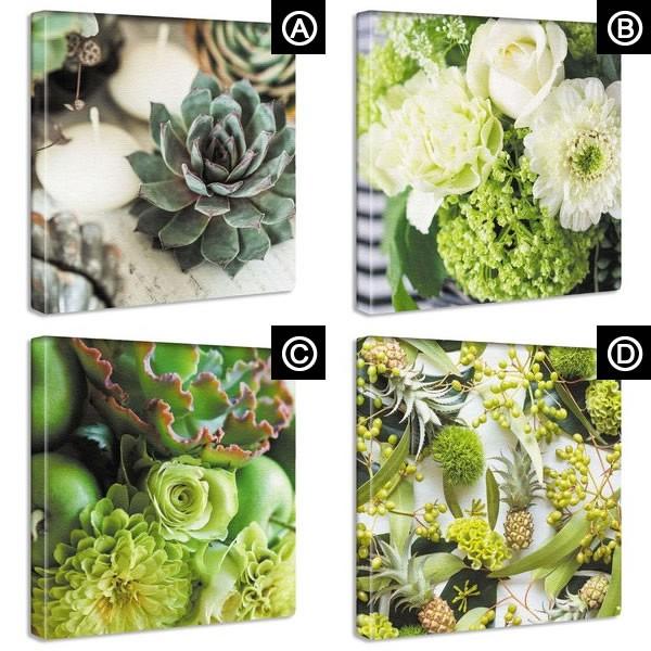 高品質新品 アートパネル グリーン系 緑の花 多肉植物 多肉 ドラセナ アロエ アルフレッド ジェイドポイント エケベリア ハオルチア ラナンキュラス 竹内陽子 母の日 Supplystudies Com