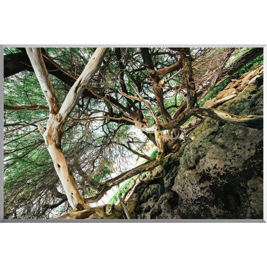 日本製 アートボード/アートパネル artmart アートマート 絵画 写真 アルミフレーム インテリアコーディネイト_5
