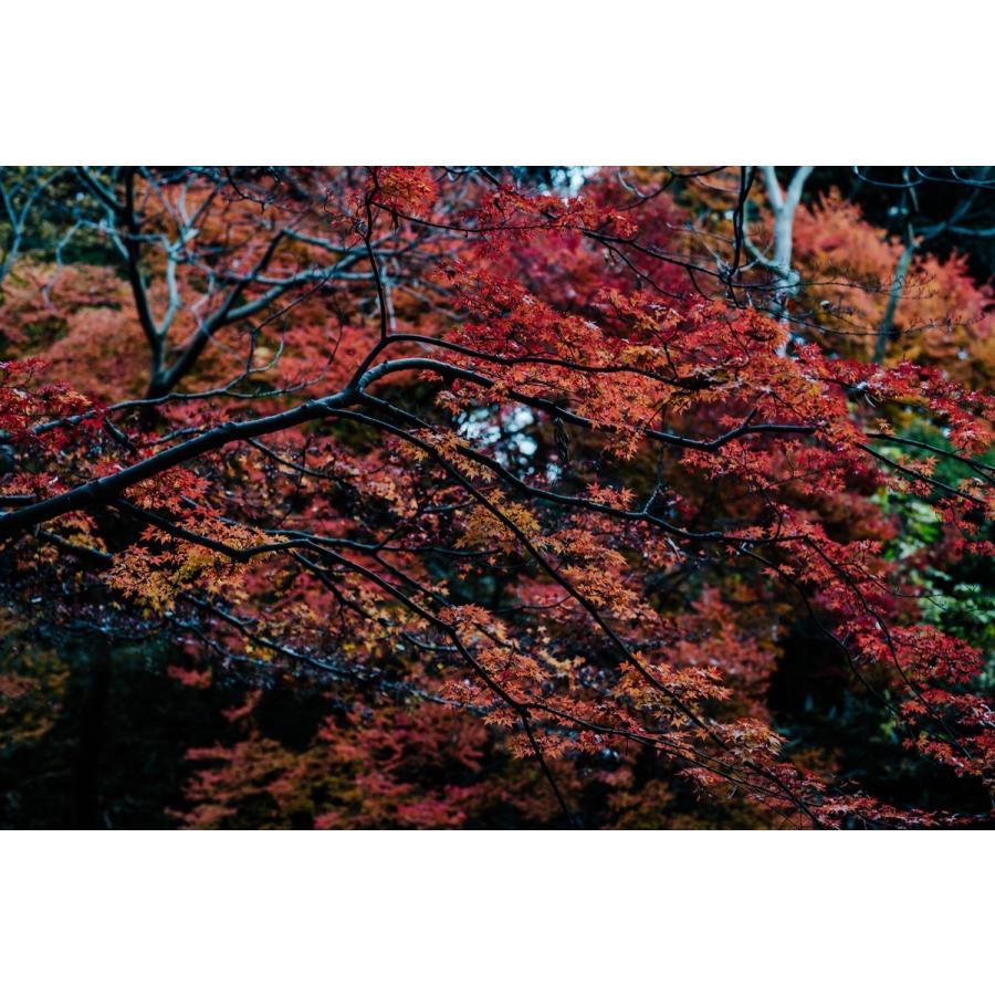 張替用」 アートボード/アートパネル artmart アートマート アートのみ