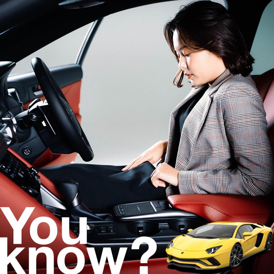 ランボルギーニ アヴェンタドール 高級 フロント ガラス カバー 凍結防止サンシェード シート 車用 日よけ 日除け 霜よけ 雪避け 雪 霜 09ks 029 Sa 03 ボディカバー 本製品は汎用品です 車種によって適合できません 必ずサイズをご確認の上ご購入ください