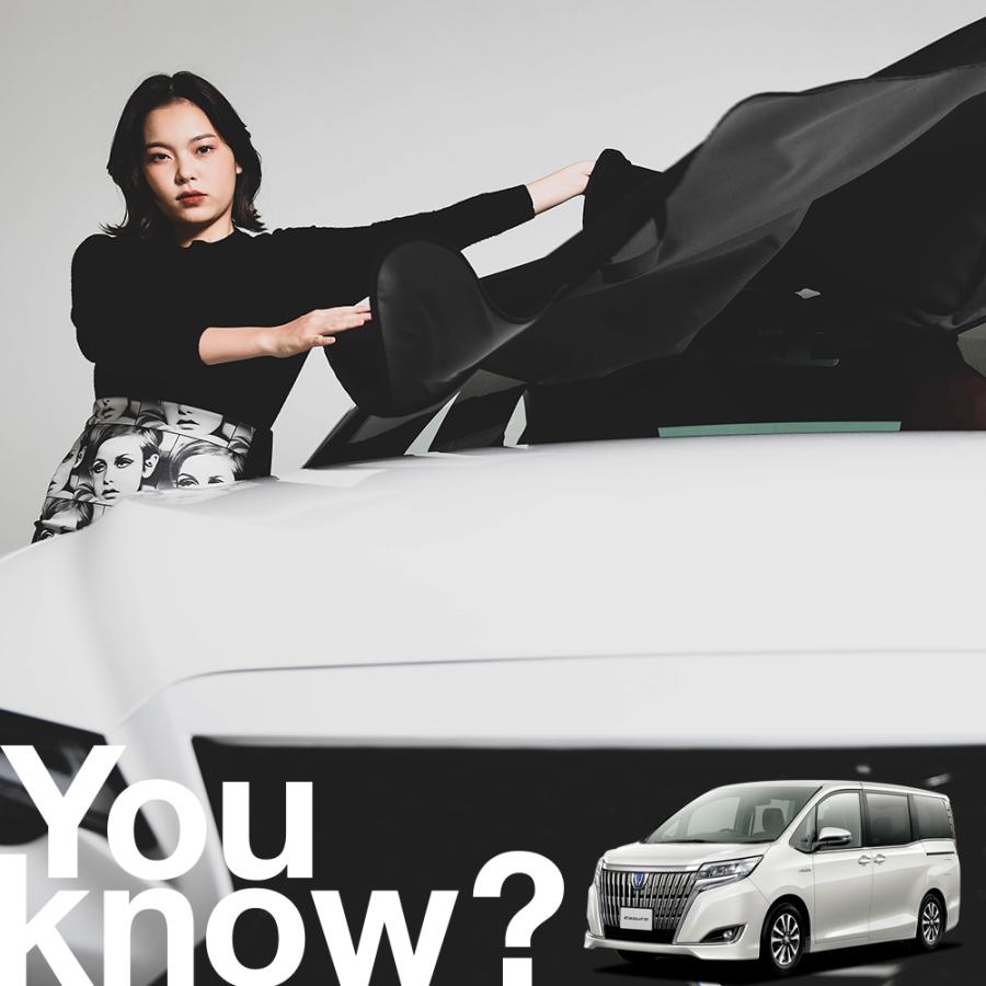 エスクァイア 80系 Esquire 高級 フロント ガラス カバー 凍結防止サンシェード シート 車用 日よけ 日除け 霜よけ 雪避け 雪 霜 09ks 079 Sa 01 ボディカバー 重要 沖縄 離島地域にお住まいのお客様へ 送料が別途かかります 当店からの案内メールをお待ち下さい