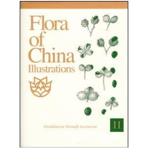 [英文] 中国植物誌図譜［英文版］第１１巻