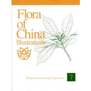 [英文] 中国植物誌図譜［英文版］第７巻