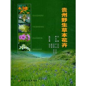 [中国語簡体字] 貴州野生草本花卉