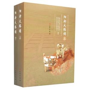 [中国語簡体字] 陽新大路舗  上下冊