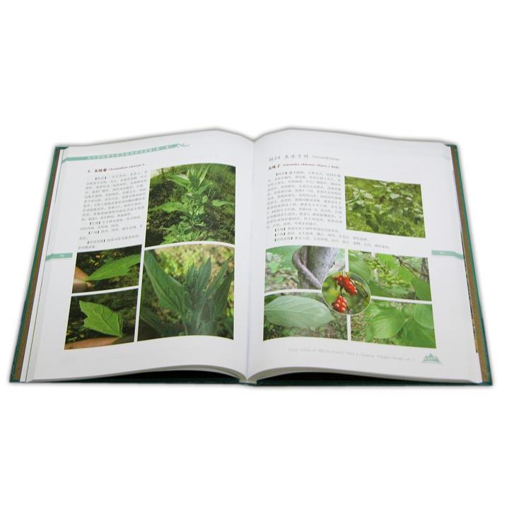 [中国語簡体字] 大興安嶺野生経済植物原色図鑑  第１巻_1