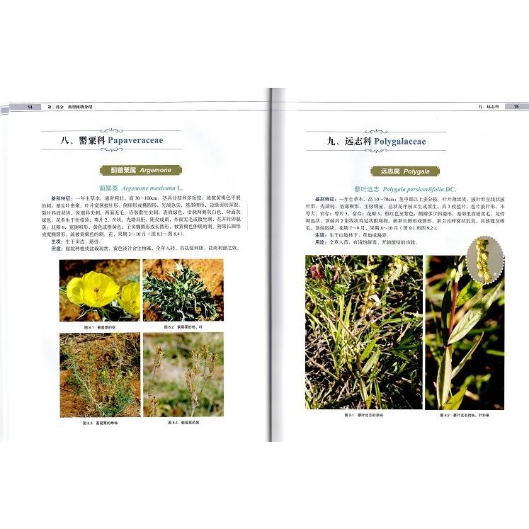 [中国語簡体字] 金沙江干熱河谷典型植物原色図鑑_1