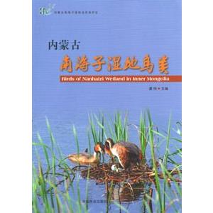 伊谷純一郎著作集 第2巻 /平凡社/伊谷純一郎 (単行本) 中古 | ME-CFS.NET