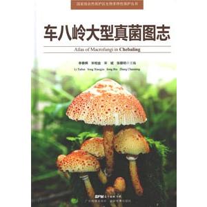 [中国語簡体字] 車八嶺大型真菌図誌