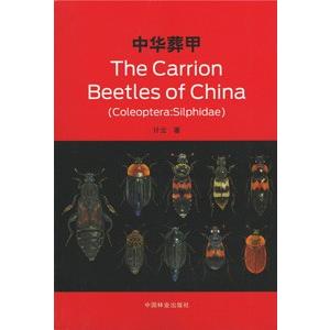 [中国語簡体字] 中華葬甲　The Carrion Beetles of China(Coleoptera:Silphidae)｜ato-shoten